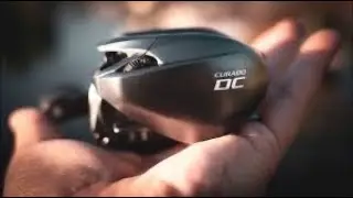 CURADO DC review