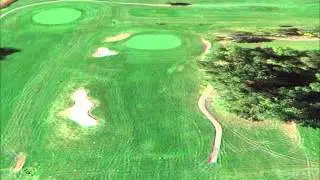 Deerwood Golf Course - Fawn #1