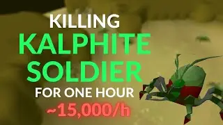 [OSRS] KILLING KALPHITE SOLDIER FOR ONE HOUR | SLAYER MONEY MAKING
