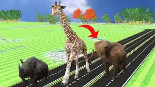 Wild Safari Race: Elephant, Rhino, and Giraffe Compete for the Win!