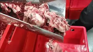 Meat Bone Separator