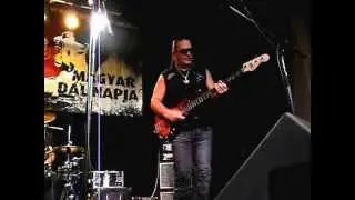 Roland Sumi (Paul Camilleri Band) bass solo  Live  2012 Budapest