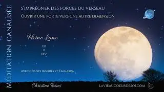 Extrait de la m&eacute;ditation canalis&eacute;e 12 02 25 - Christine Torres - S&rsquo;impr&eacute;gner des forces du Verseau.