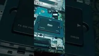 256 gb ssd  foxin