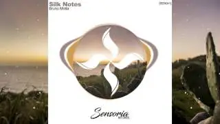 Bruno Motta - Silk Notes (Original Mix)