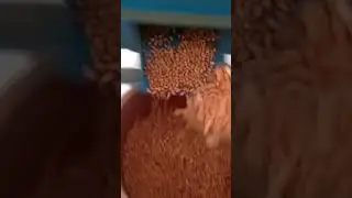 ground nut decorticator |grader|peanut|dr bro #drbro #agriculture |HP|technology