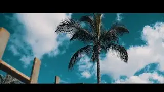 WANG - Lopi (OFFICIAL MUSIC VIDEO)