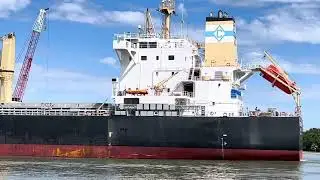 Pattern today is bulk carrier followed by cargo ship followed by yet another bulk carrier 