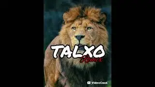TALXO _X_ 4KEUS 