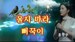 울지 마라 뻐꾹이-홍성주 #도전트로트 