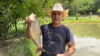 PESCANDO E FAZENDO A PR&Oacute;PRIA COMIDA NA RO&Ccedil;A SEM GASTAR NADA