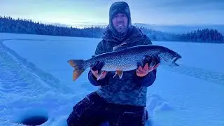 Lake Louise Alaska 2023!!! | Icefishing for Lake Trout