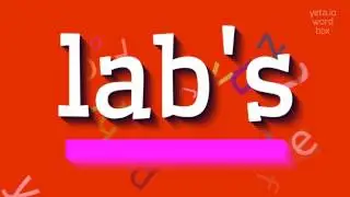LAB'S - You Won't Believe How to Pronounce 'Lab' Correctly! Learn Now!