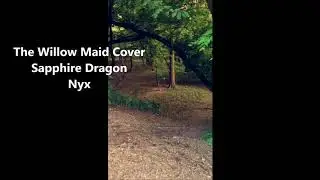 Willow Maid (Cover)