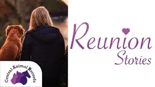 Reunion Stories | By Central Animal Records