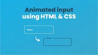 HTML & CSS - Creating an Input Animation Tutorial