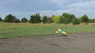 R/C 3D printed Bowers Fly Baby