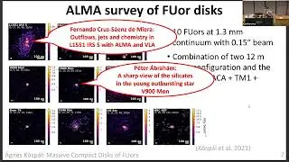 &Aacute;gnes K&oacute;sp&aacute;l -  Massive Compact Disks around FU Origins-type Young Eruptive Stars revealed by ALMA