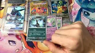 On fait le point sur EV3 Flammes Obsidiennes Noctali et Mentali REVERSE