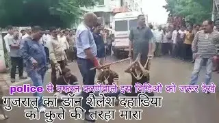 Bhavnagar don Shailesh Dahadiya was caught. See for yourself what happened next. The don of Bhavnagar