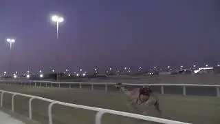 ش1 بكار حقايق / 3 ك متر / الشاهينية / محمد بن صباح النعيمي / 4:40:41