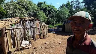 A VERDADE SOBRE O TOEZINHO, COMO ELE E OS ANIMAIS ESTÃO???, SEM MÃE SOFREU MUITO, CRIADO PELOS TIOS