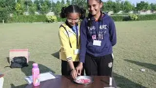 Science Fair From R. J. International Public School Mehsana #art #science #video #india #indian