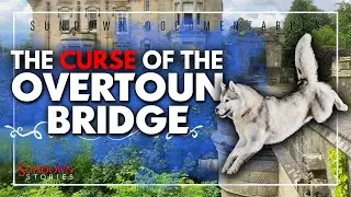 The Mysterious Curse of Overtoun Bridge: Scotland&rsquo;s Tragic Dog Bridge