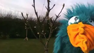 Mrs Waters and Beaky the Bird- Beakly's Nature Diary- Episode 1- Part 2- Trees- February 21st