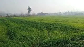 34 kanal land available for sale wahatspp number 0311 3209687