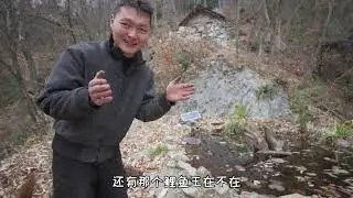 清理一下鱼塘时隔一年鱼王依旧健在~ #农村生活