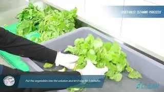 CLEAN STEPS FRUIT & VEGETABLES WASH SANITATION - English Version