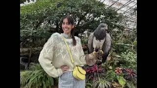 ＜森泉＞祖母・森英恵さんの故郷島根を巡る　県立美術館で祖母のドレスを鑑賞　石見ポークですき焼き　「旅サラダ」出演#japan #japannews #viral #trending #news 