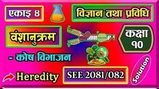 4. class 10 science chapter 4 | Science and Technology  | Heredity | 4.1 Cell Divion Exercise