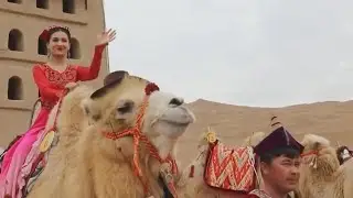 Camel beauty contest held in Xinjiang