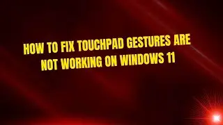 How to Fix Touchpad Gestures Are Not Working on Windows 11