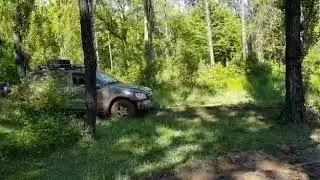 ML320 OFF ROAD W163