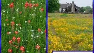 -100K to 695K next to outlet mall 7+ ac I10 frontage all city utilities 50K BBC