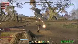 Impunity Unchained - ESO Beta PVP Rout & Cut off - Daggerfall - PC - NA
