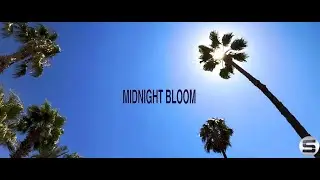 Aurora Soul - Midnight Bloom