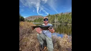 ADK Bushwhack Brook Trout