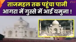Agra Yamuna flood : यमुना का बढ़ा जलस्तर, Taj Mahal तक पहुंचा पानी | Agra | Food | Zee UPUK