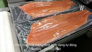 M&aacute;y h&uacute;t ch&acirc;n kh&ocirc;ng định h&igrave;nh dạng tự động Welltrix