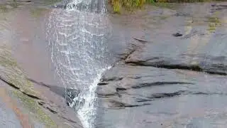 Upper Wildcat Branch Falls; South Carolina