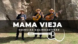 Mama Vieja - Esencias Calingastinas