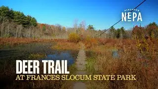 Deer Trail at Frances Slocum State Park | Wyoming, PA