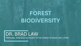Forest Biodiversity