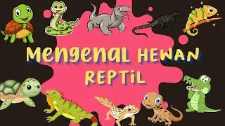 MENGENAL NAMA NAMA HEWAN REPTIL (ULAR, KADAL, BUAYA) | LEARN REPTILE ANIMALS | Indonesia - Inggris