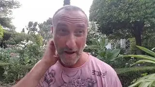 Sunshine Aura, and how it can help you.