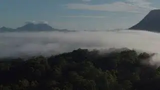 Misty Morning Lillian Rock